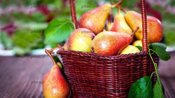 عکس فانتزی گلابی