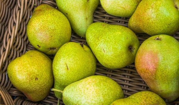عکس فانتزی گلابی