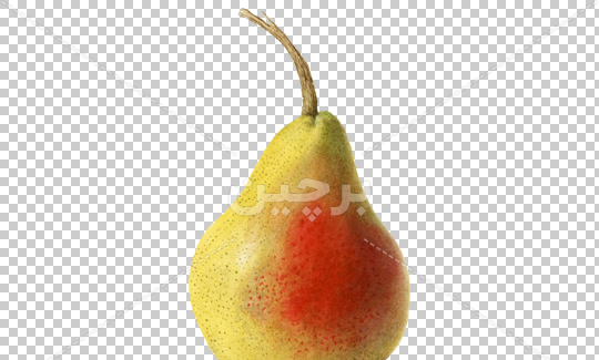 عکس فانتزی گلابی