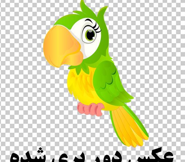 عکس فانتزی از طوطی