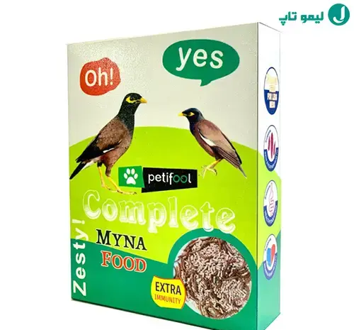 عکس غذا مرغ مینا
