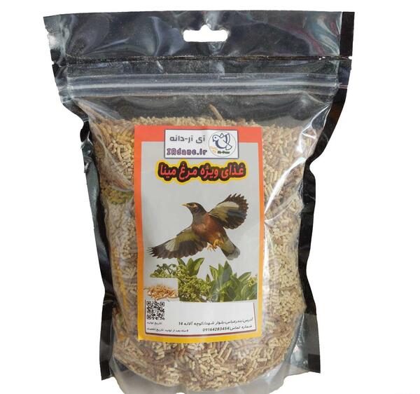 عکس غذا مرغ مینا