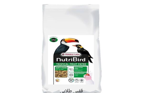 عکس غذا مرغ مینا