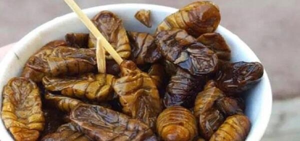 عکس غذا خوردن کره ای
