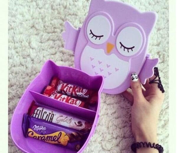 عکس ظرف غذا برای مدرسه دخترانه