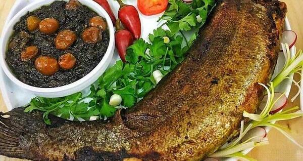 عکس غذاهای شمالی