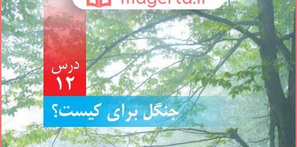 عکس زنجیره غذایی علوم ششم