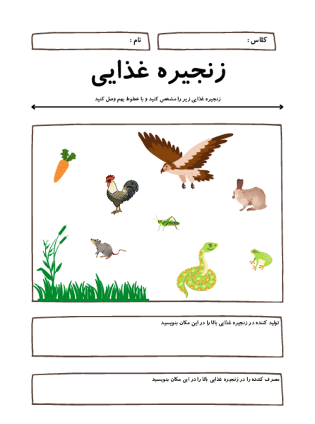 عکس زنجیره غذایی علوم ششم