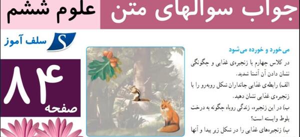 عکس زنجیره غذایی علوم ششم