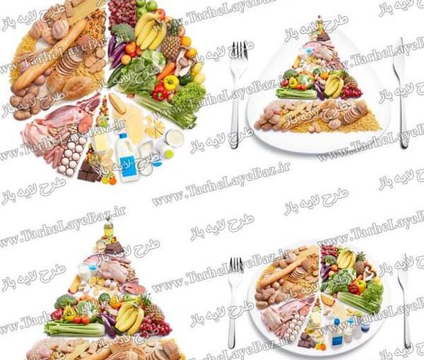 دانلود عکس زنجیره غذایی