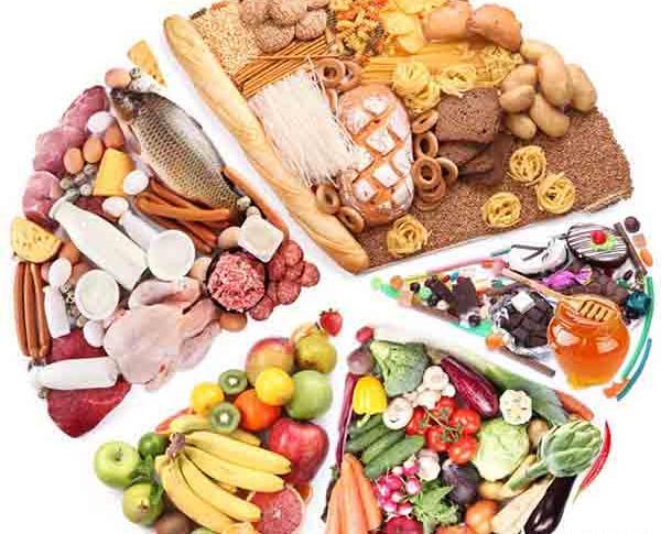 دانلود عکس زنجیره غذایی