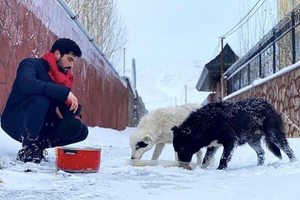 عکس غذا دادن به سگ ها