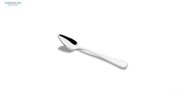 عکس قاشق غذا خوری