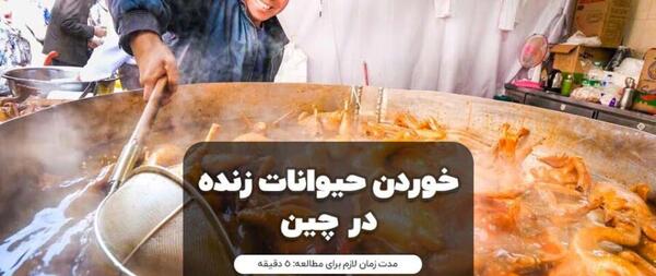 عکس غذا خوردن میمون