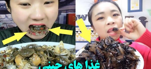 عکس غذا خوردن حیوانات
