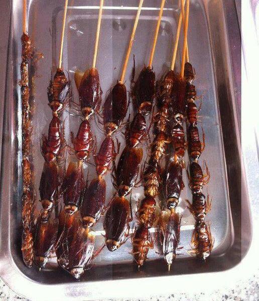 عکس غذای چینی