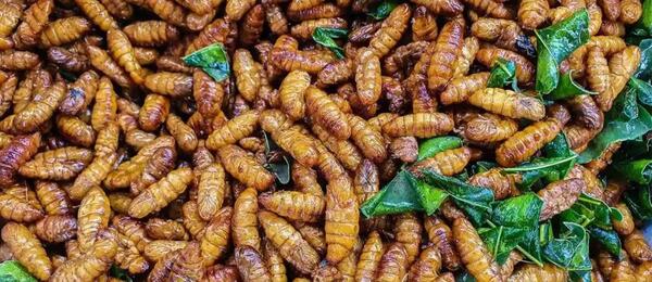 عکس غذای چینی