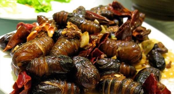 عکس غذاهای چینی ها