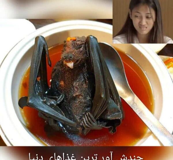 عکس انواع غذاهای چینی