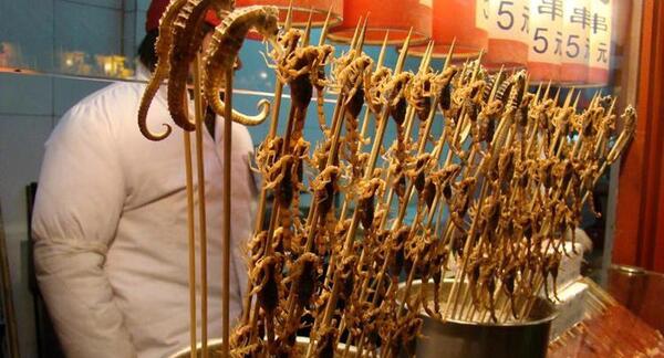 عکس غذاهای چندش اور چینی