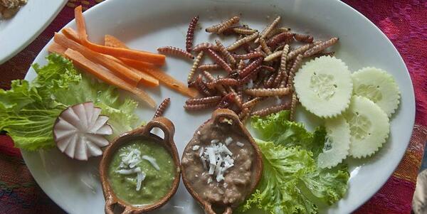 عکس غذاهای چندش اور چینی