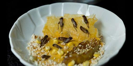 عکس غذاهای چندش اور چینی