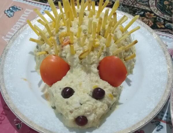 عکس غذا جوجه تیغی