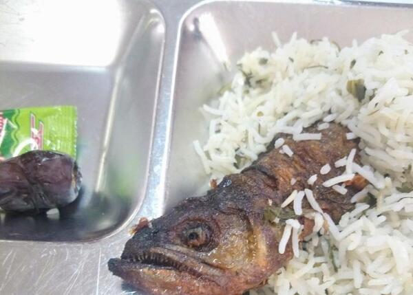 عکس غذا و دسر نی نی سایت