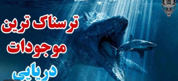 عکس حیوان دریایی ترسناک