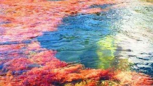 عکس دریای رنگی