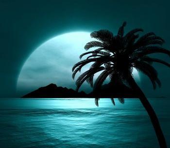 عکس زیر دریا زیبا