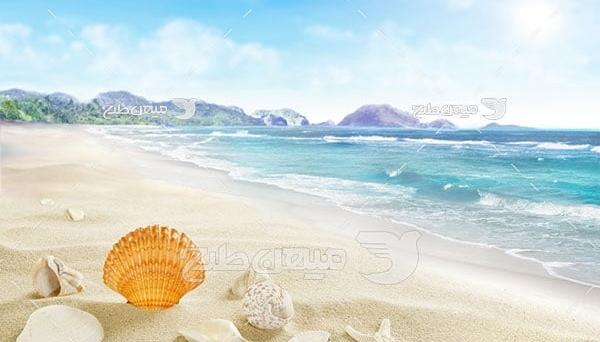 عکس دریا با صدف