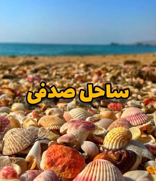 عکس دریا و ساحل و صدف