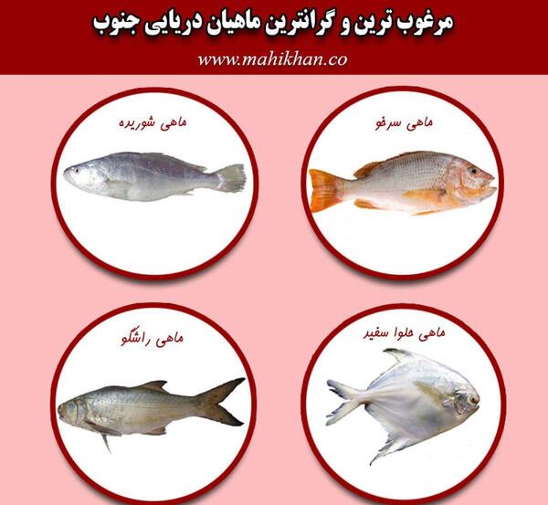 عکس ماهی قرمز دریا
