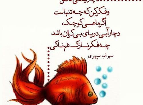 عکس ماهی قرمز دریا