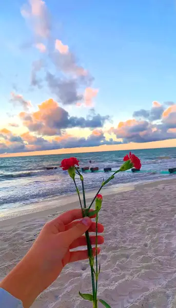 عکس دریا و گل برای پروفایل