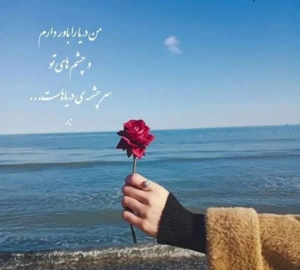 عکس دریا و گل برای پروفایل