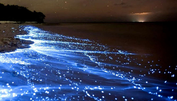 عکس لب دریا شب
