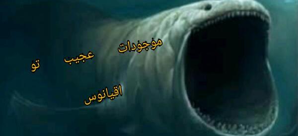 عکس موجودات دریا