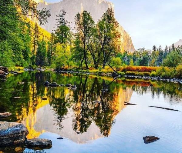عکس پروفایل جنگل و دریا
