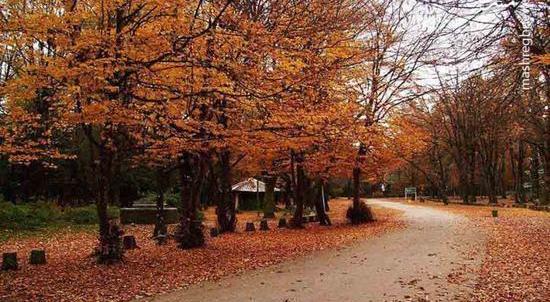 عکس کوه و جنگل و دریا