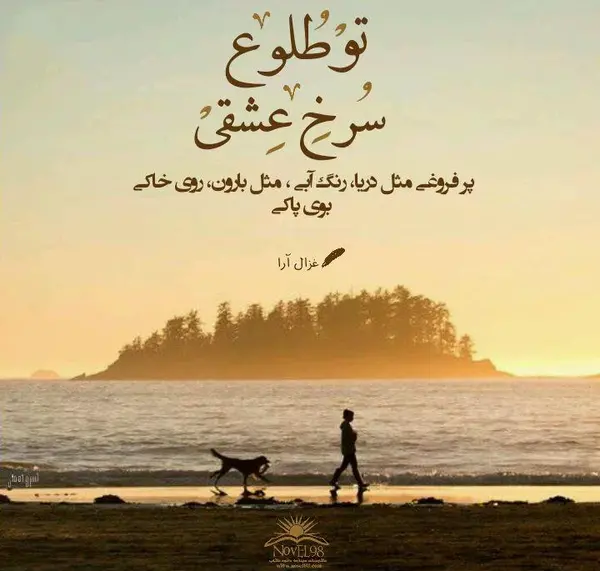 عکس پروفایل دریا و ماه
