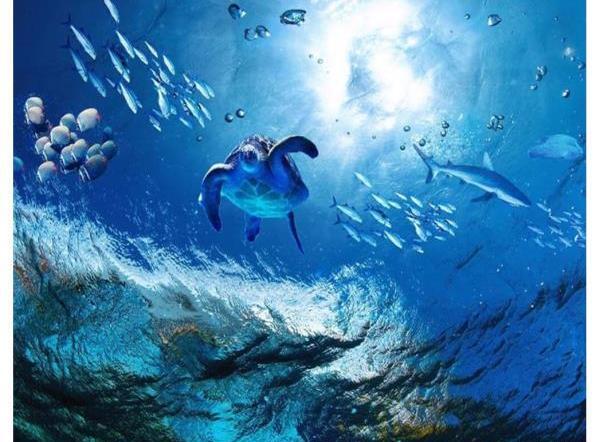 عکس های زیبای دریا