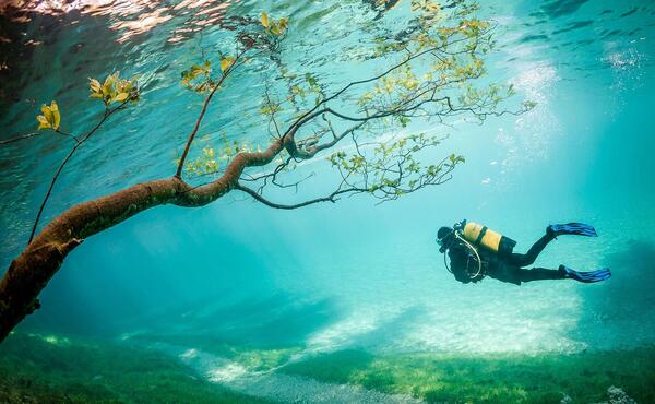عکس های زیبای زیر دریا