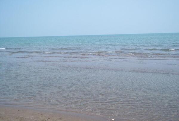 عکس دریای شمال واقعی