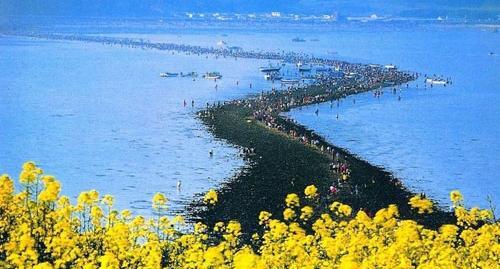 عکس دریای سرخ واقعی