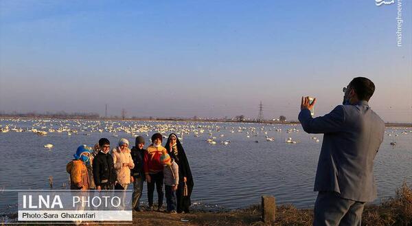 عکس دریای سرخرود