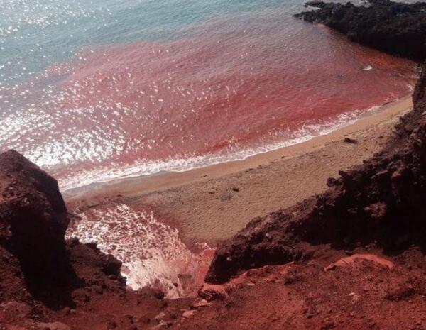 عکس دریای سرخ قشم