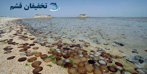 عکس دریای سرخ قشم