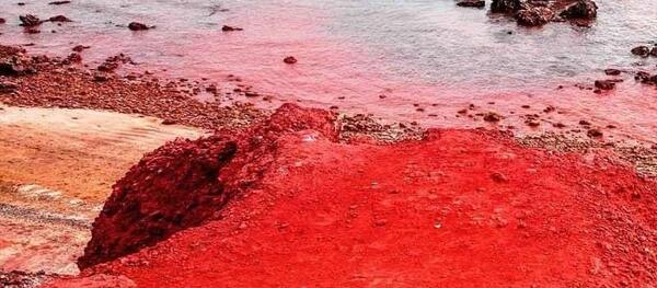 عکس دریای سرخ هرمزگان